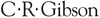 Markings by C.R. Gibson Product Image 